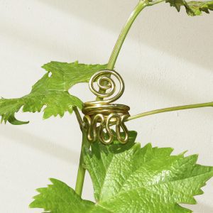 Anillo espiral dorada