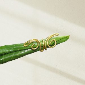 Anillo mariposa